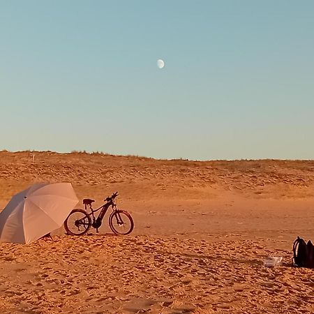 Le Spot Studio'Hotel "Les Pieds Dans Le Sable " Seignosse Eksteriør billede