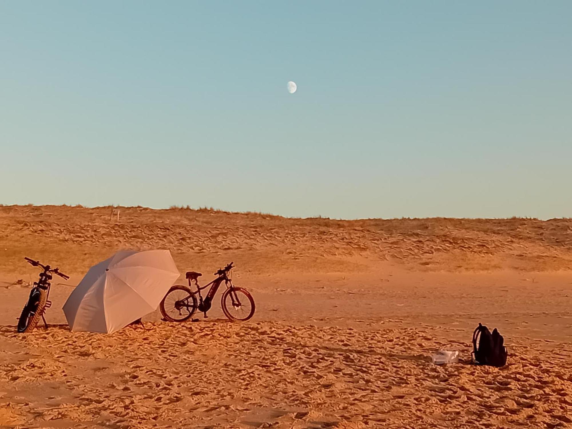 Le Spot Studio'Hotel "Les Pieds Dans Le Sable " Seignosse Eksteriør billede